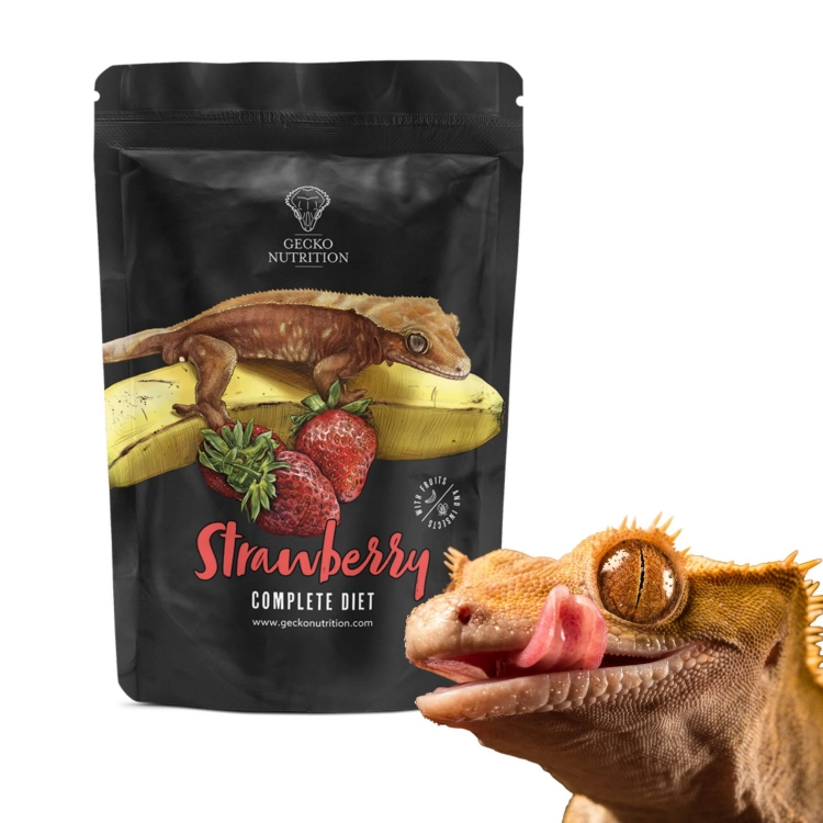 Gecko Nutrition Banan Truskawka - pokarm, papka dla gekona orzęsiony, felsuma