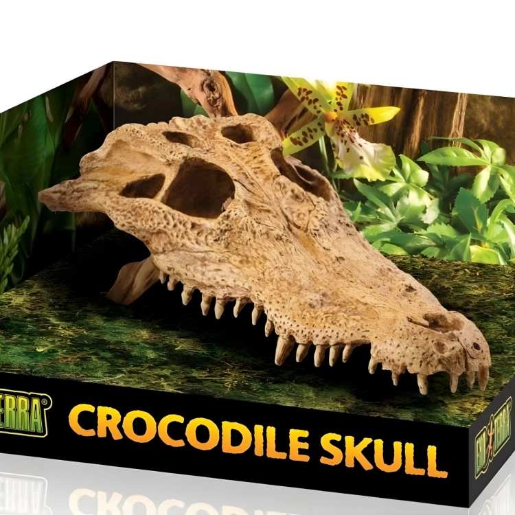 EXO TERRA CROCODILE SKULL (CZASZKA KROKODYLA) EX-8565