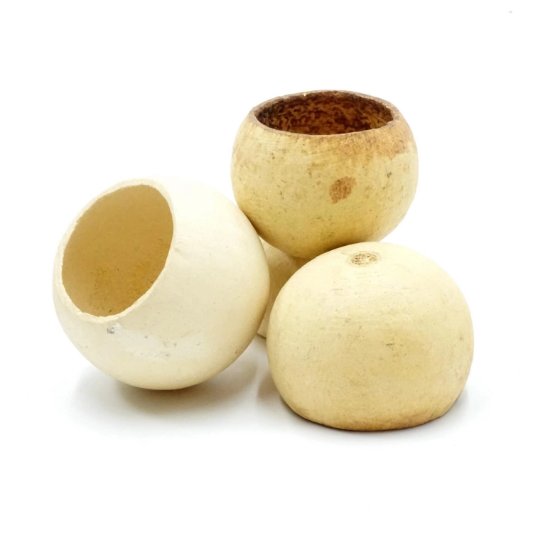 BioDesert Nut suszona Makówka Kryjówka Susz 5-8cm