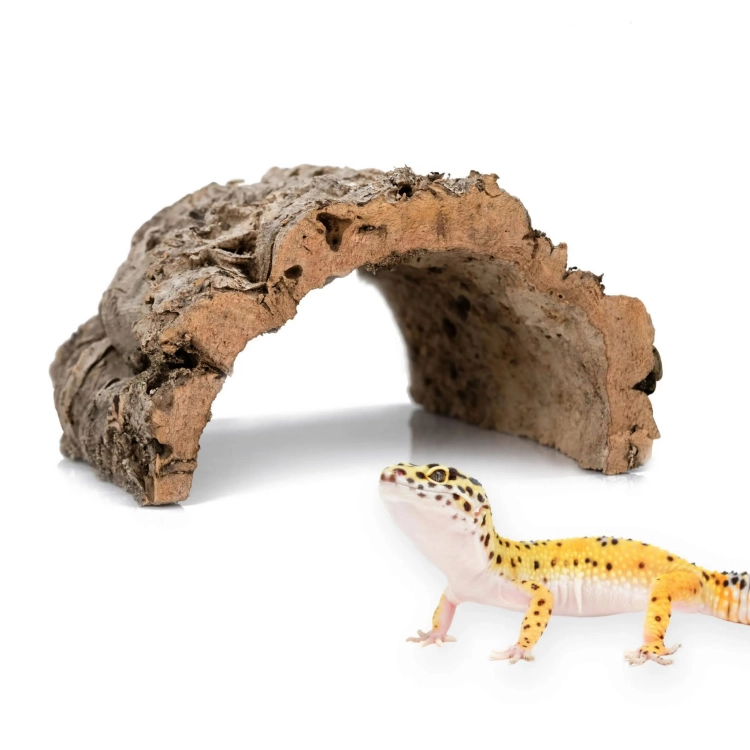 BioCork Cave jaskinia z kory Dębu korkowego S - L