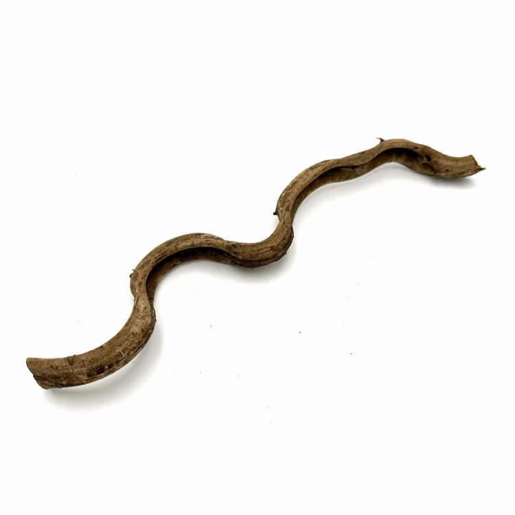 BioThai Liana 25-50cm 