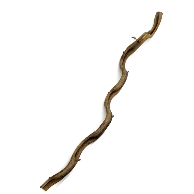 BioThai Liana 2-4cm / 100cm