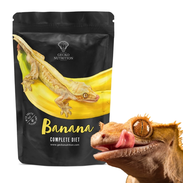 Gecko Nutrition Banan - pokarm, papka dla gekona orzęsiony, felsuma