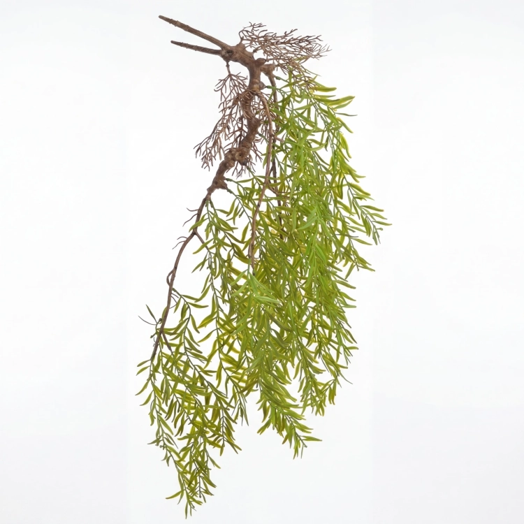 Sztuczny asparagus, roślina wisząca do terrarium z korzeniem – BioPlant Hanging Asparagus 70cm