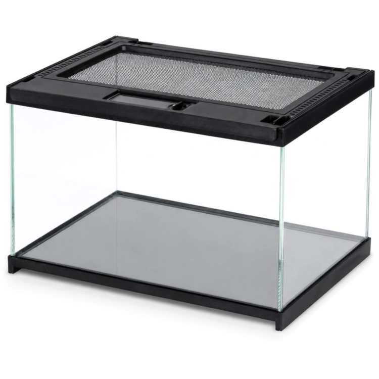 Terrarium szklane 30x20x17cm dla ptasznika | skorpiona | isopodów