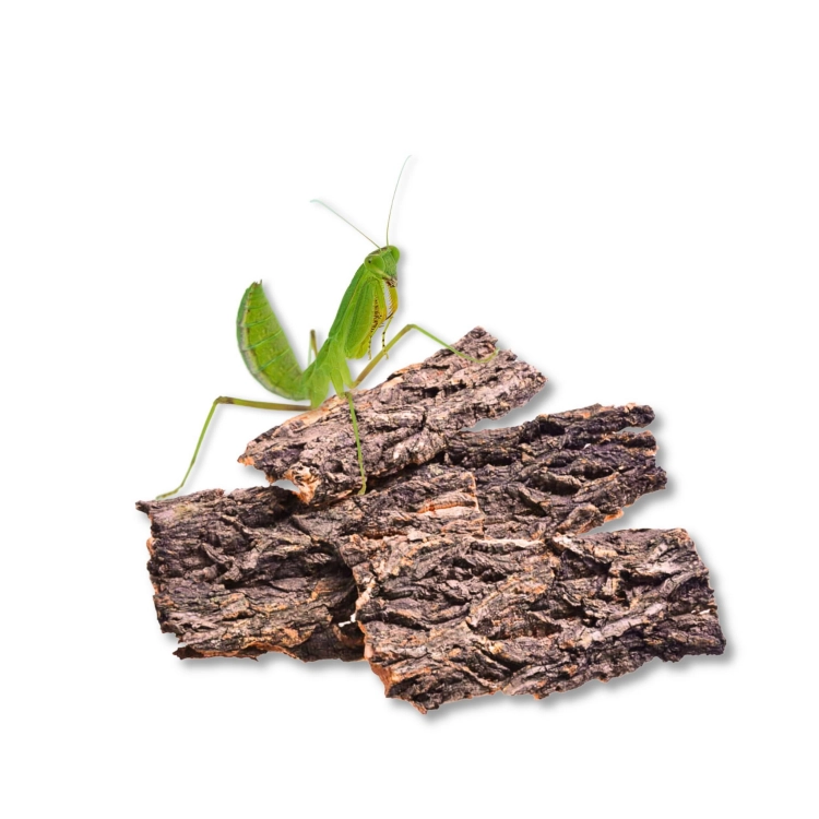BioCork Nano Flats cienkie płaty korkowe 4szt