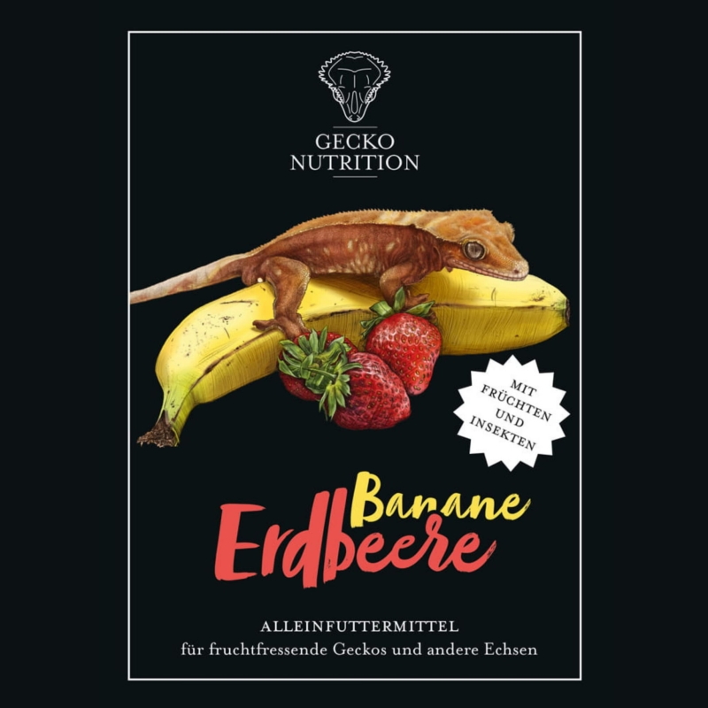 pokarm-dla-gekona-orzesionego