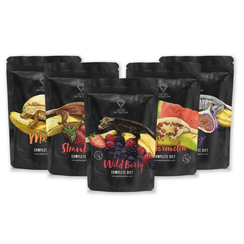 papki-papka-dla-gekona