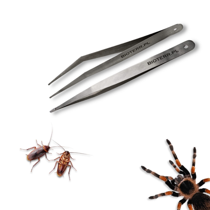 zestaw-peset-penseta-miekka-prosta-i-zakrzywiona