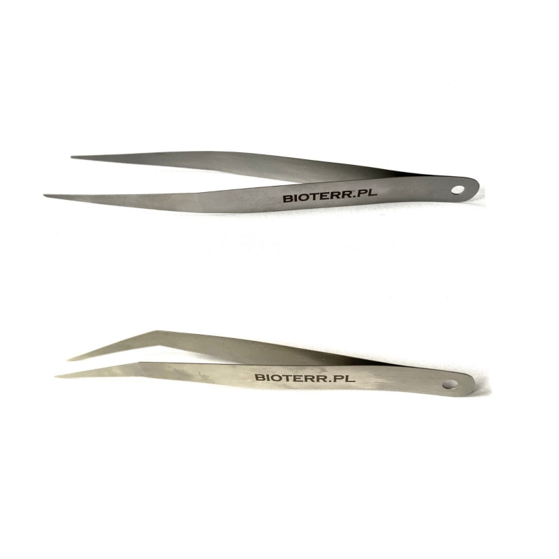 peseta-miekka-prosta-i-zakrzywiona