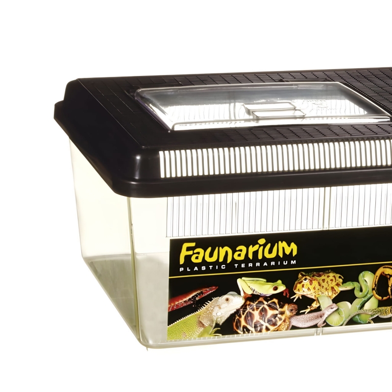 exo-terra-faunarium-plaskie