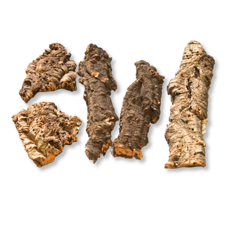 naturalna-kora-do-terrarium-dla-ptasznika