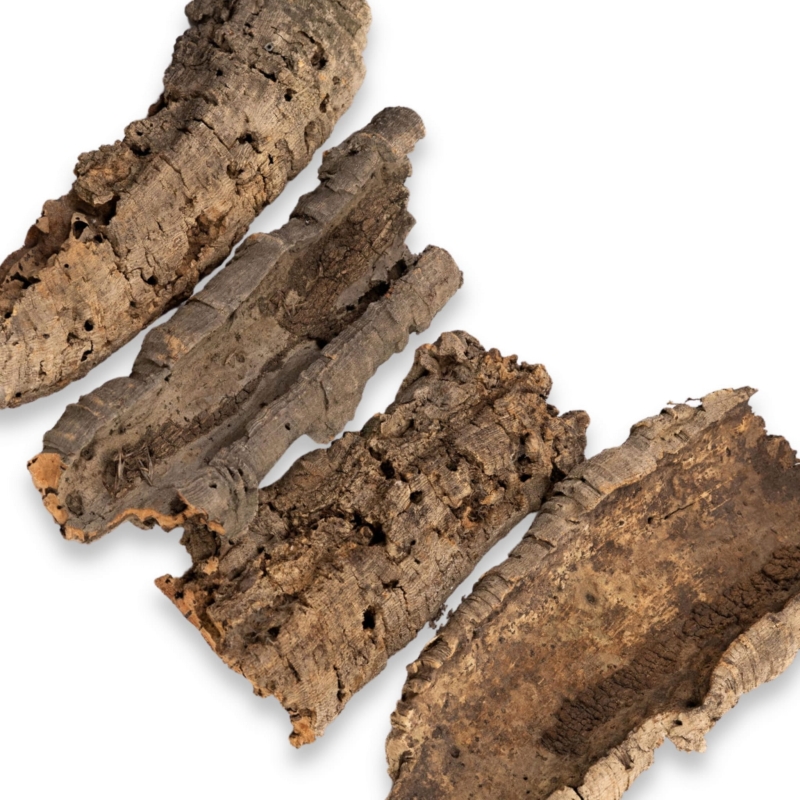 korek-terrarystyczny-budowa-scianki