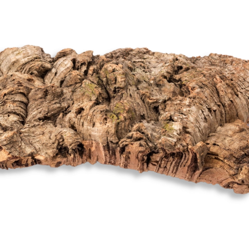 naturalna-kryjowka-do-terrarium-dla-ptasznika