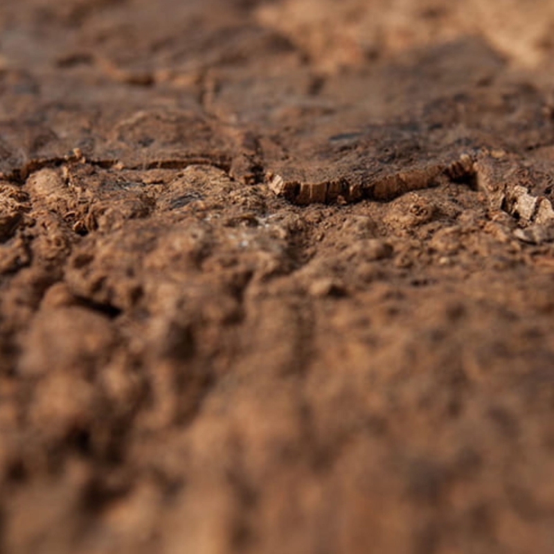 tlo-korkowe-do-terrarium-dla-agamy