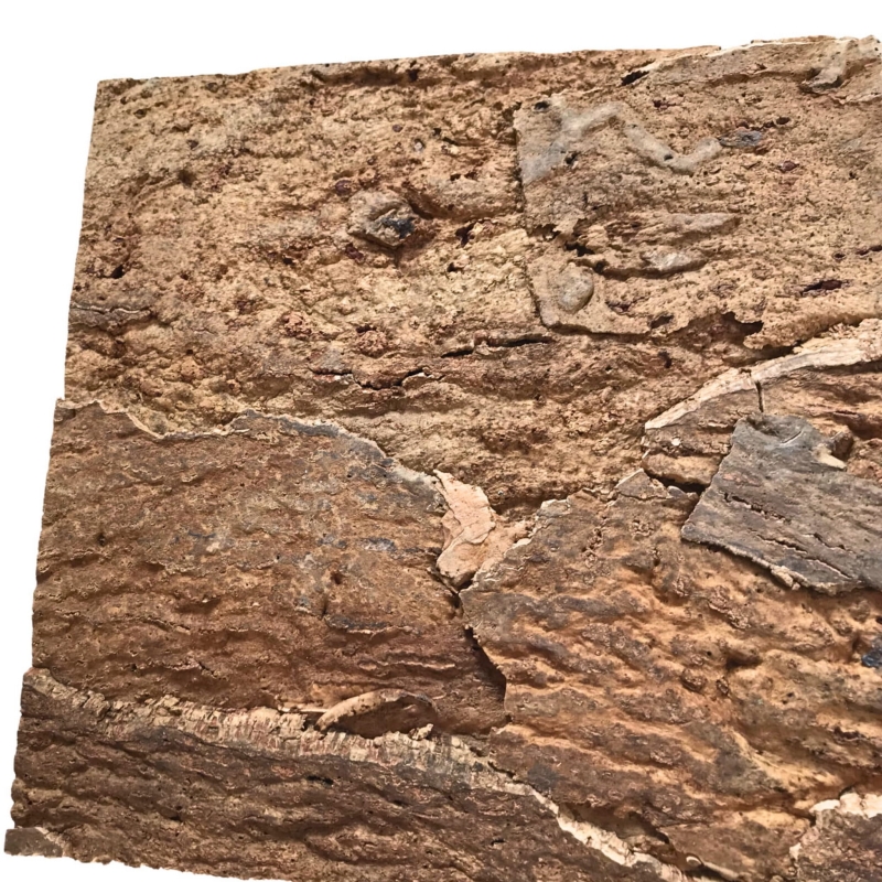 tlo-strukturalne-do-terrarium