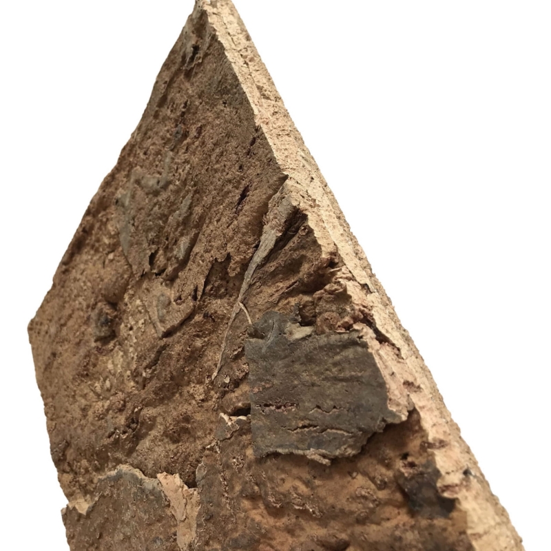 scianka-do-terrarium-dla-agamy