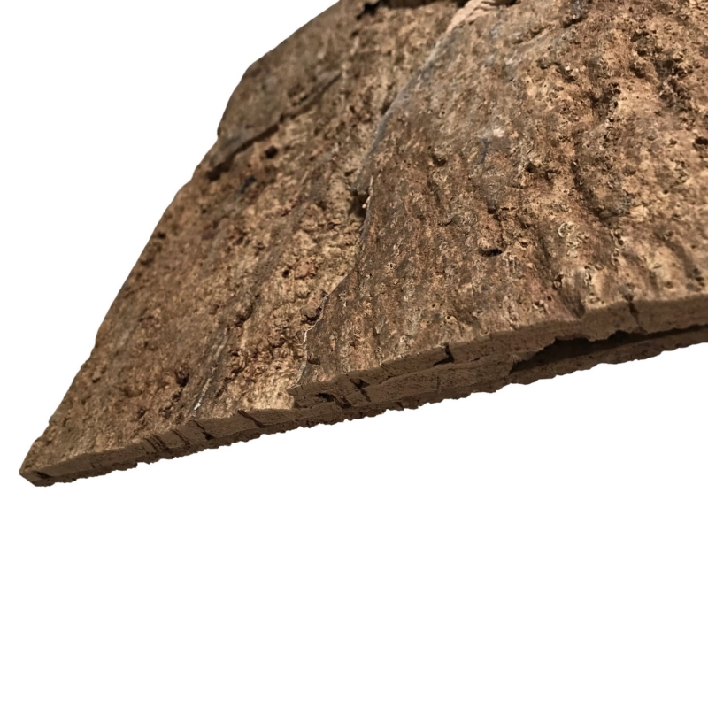 scianka-do-terrarium-dla-agamy