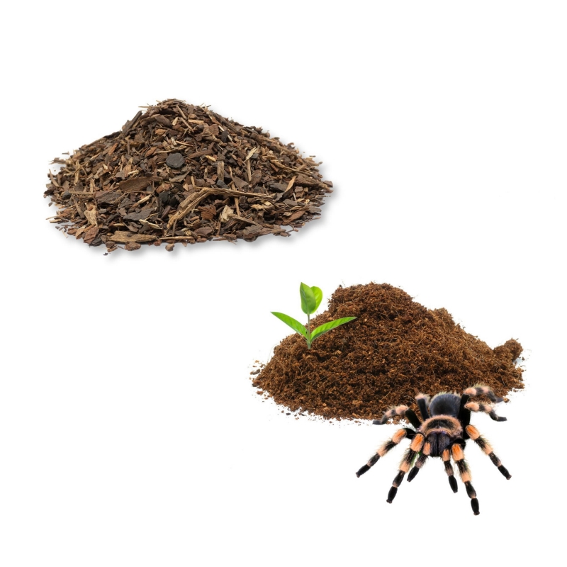 zestaw-pajeczarza-mini