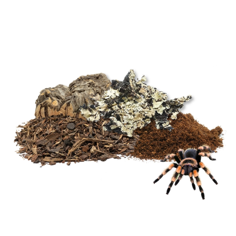 zestaw-pajeczarza-mini