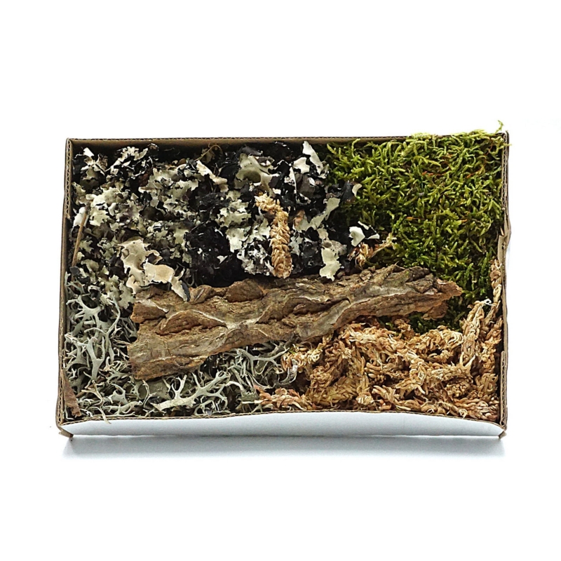 dodatki-do-terrarium-ozdoby-dekoracje-wystroj