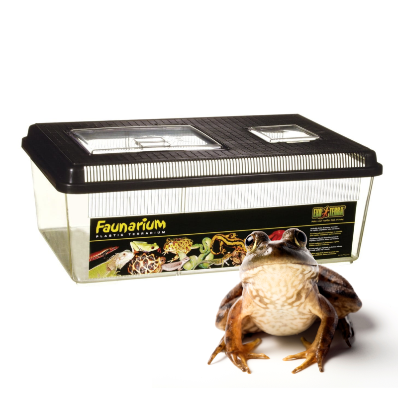 exo-terra-faunarium-plaskie