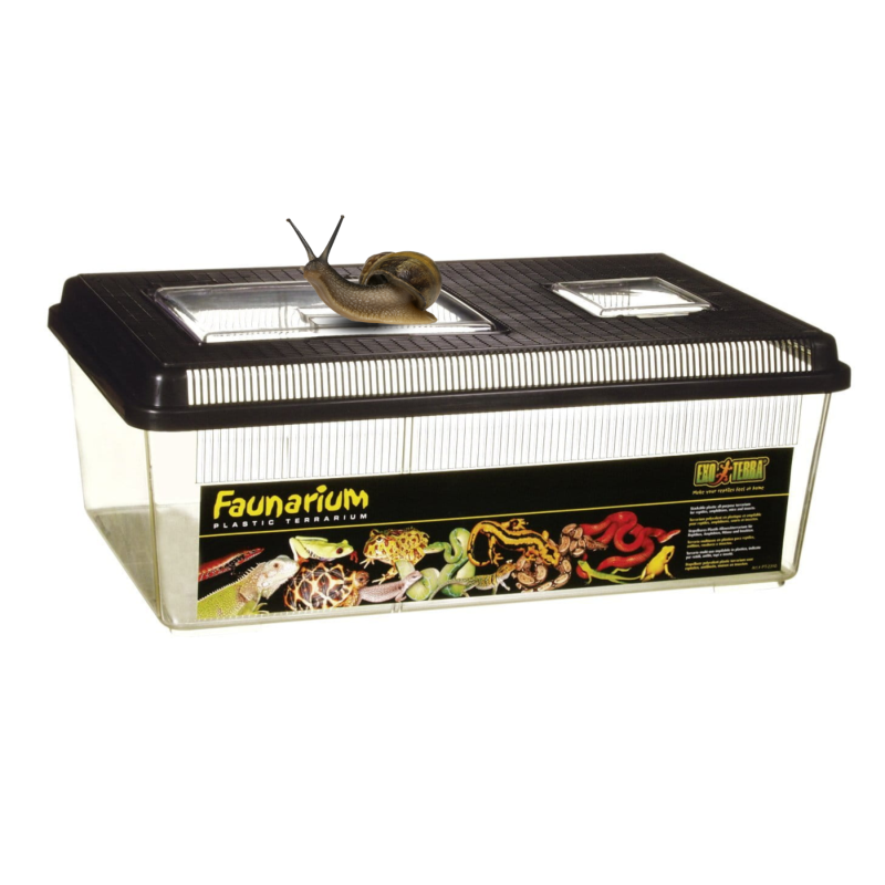 exo-terra-faunarium-plaskie