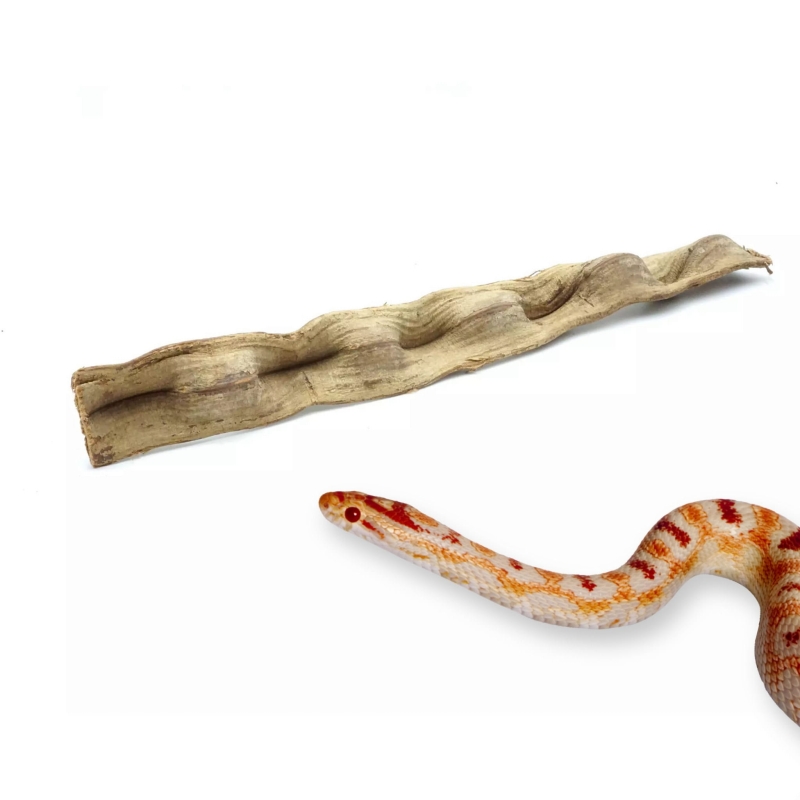 BioBrazilian-liana-gruba-dla-weza-kameleona-do-terrarium