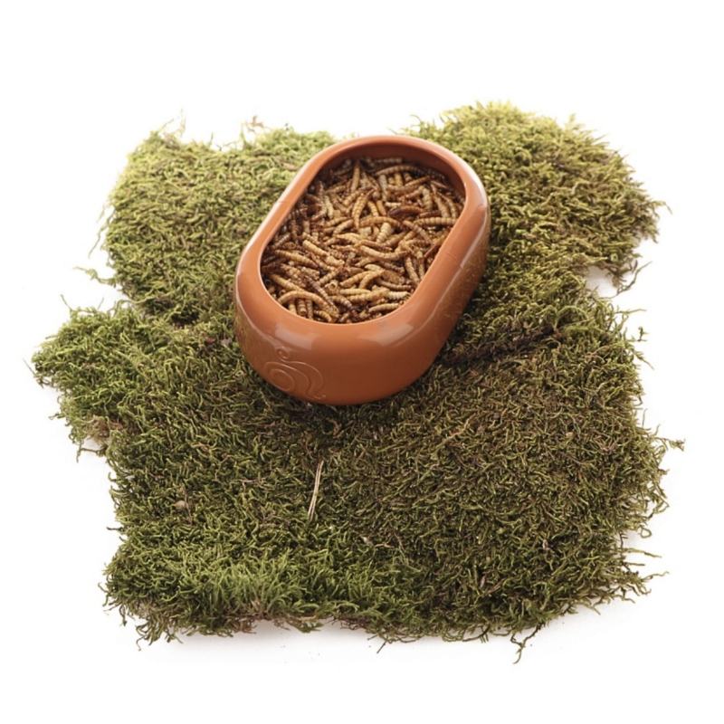 miska-na-zywy-pokarm