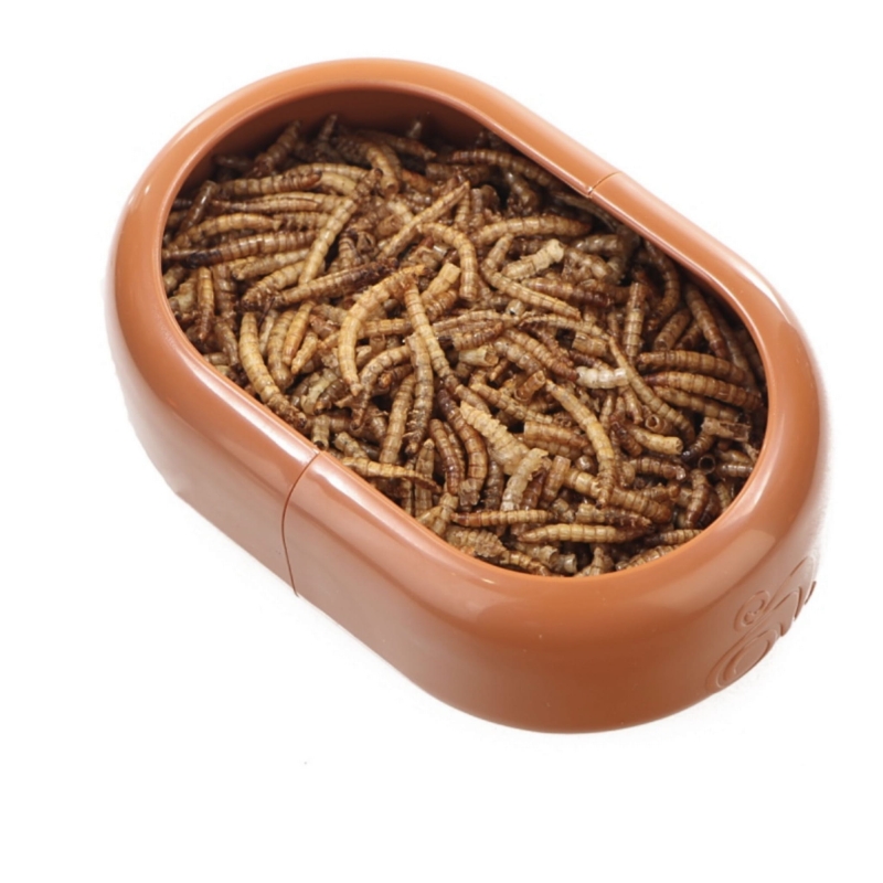 miska-na-kamowke-maczniki-drewnojady