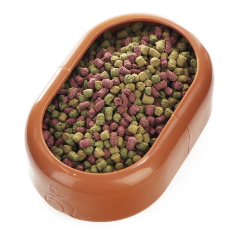 miska-do-terrarium-dla-gekona-agamy