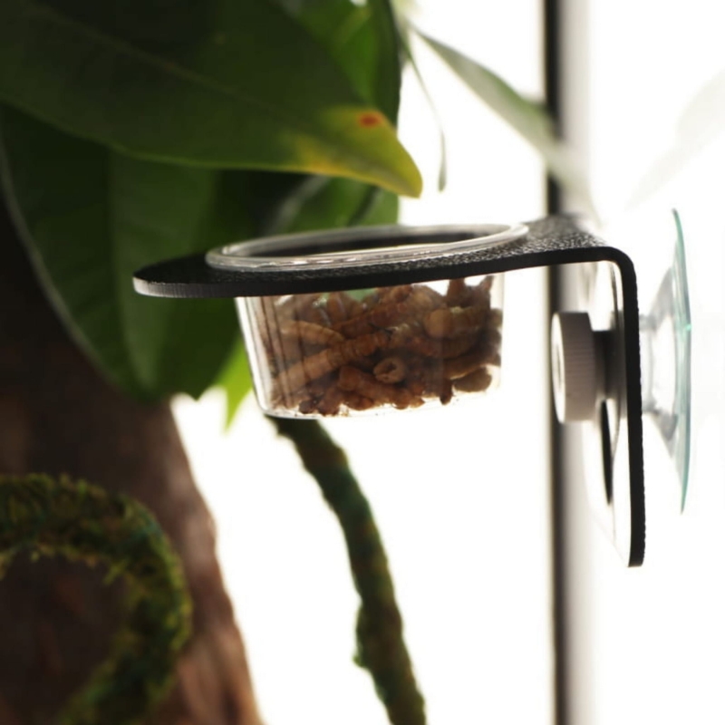 miska-ze-stelazem-do-zawieszenia-na-szybie-w-terrarium