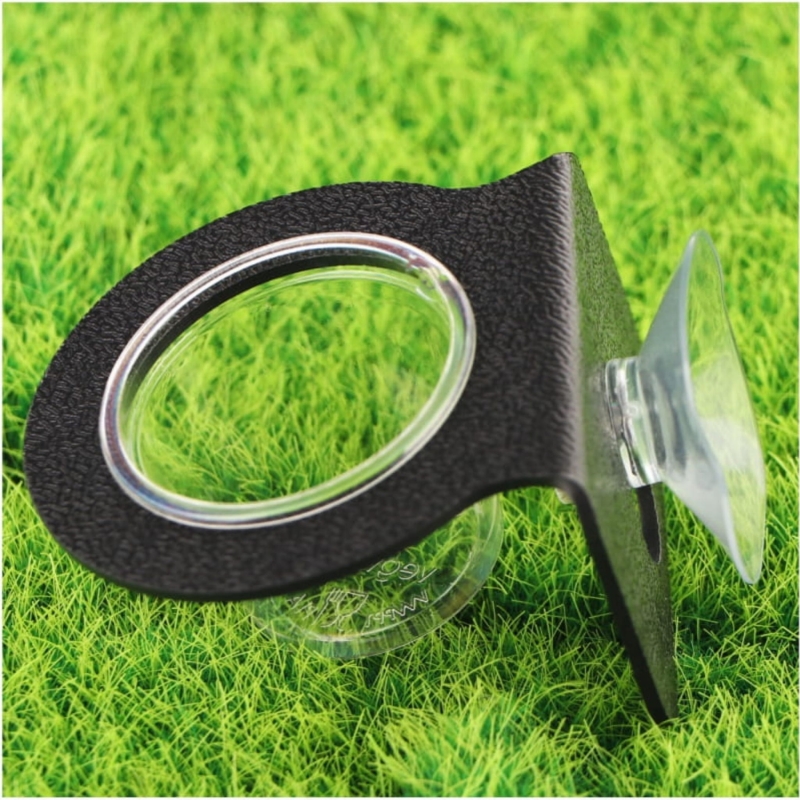 miseczka-dla-gekona-orzesionego