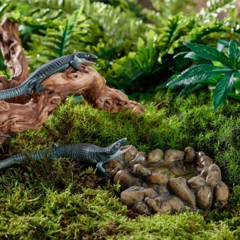 miska-na-wode-do-terrarium-dla-jaszczurki