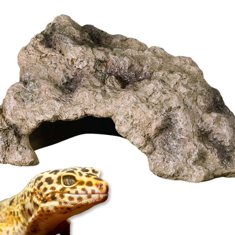 Jaskinia-kamienna-rogowa
