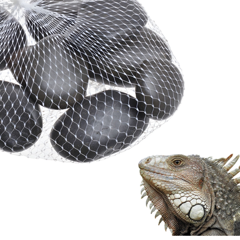 Dekoracja-do-terrarium-naturalna-zodoba-dla-agamy-gekona-ptasznika