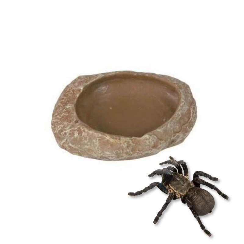 Miseczka-na-wode