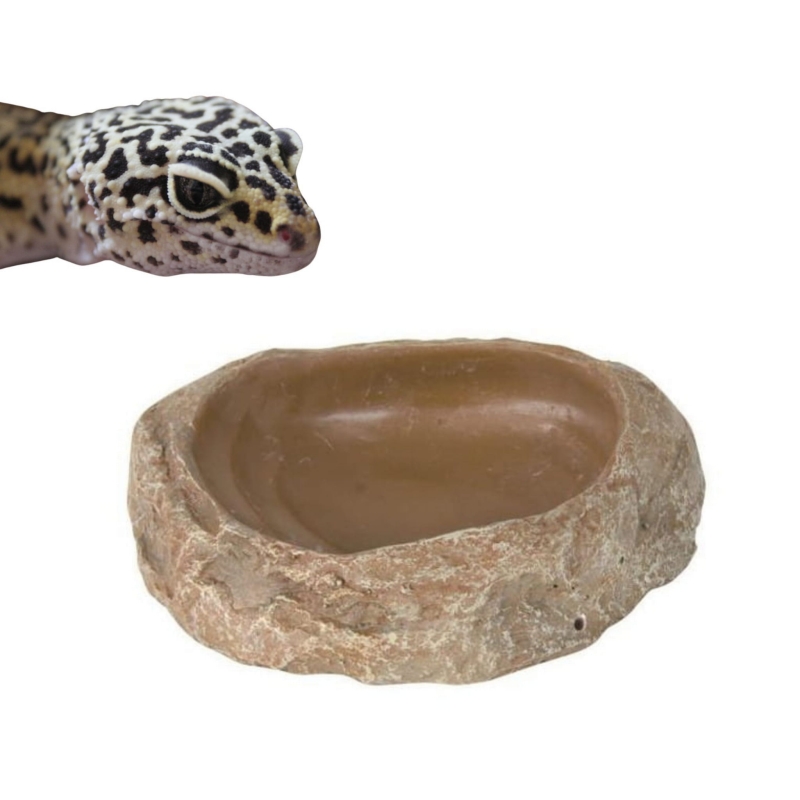 mala-miseczka-do-terrarium-s