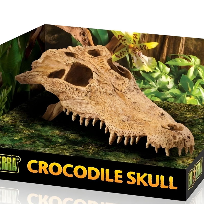 EXO-TERRA-CROCODILE-SKULL