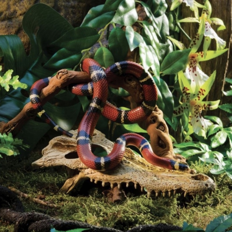 czaszka-dekoracja-do-terrarium