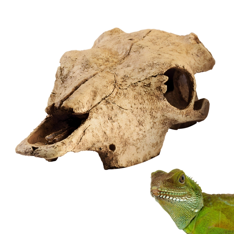 Dekoracja-do-terrarium-dla-jaszczurki-gekona-agamy