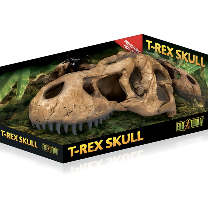 Exo-Terra-T-Rex-Skull