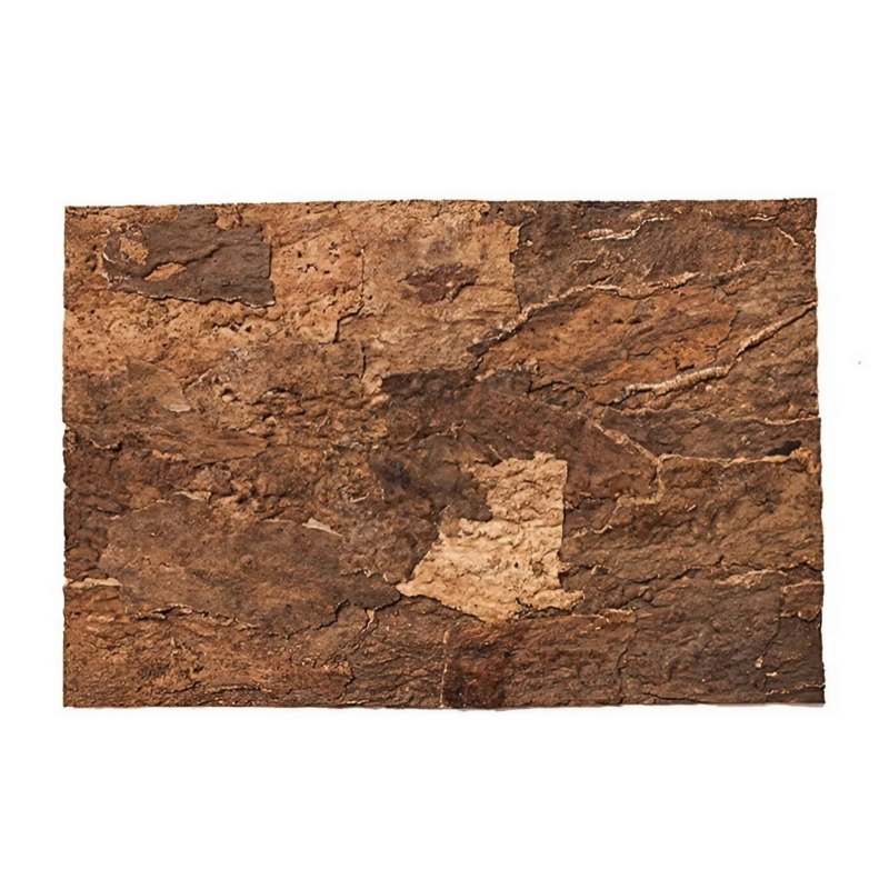 scianka-do-terrarium-dla-agamy