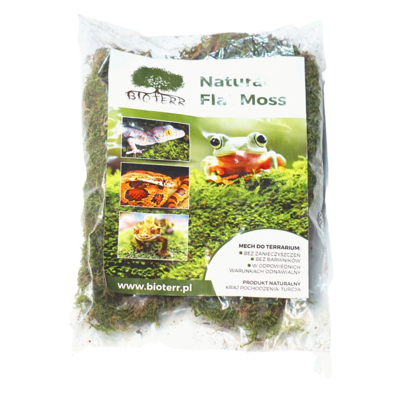bezpieczny-mech-do-terrarium