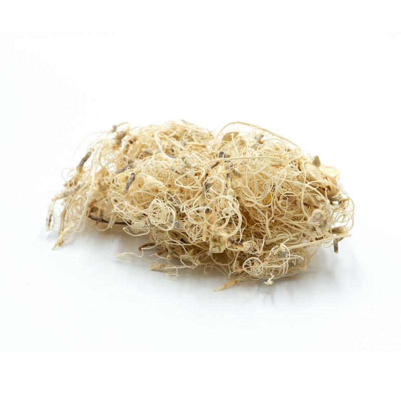 BioIndian-Roots-white-korzenie-biale