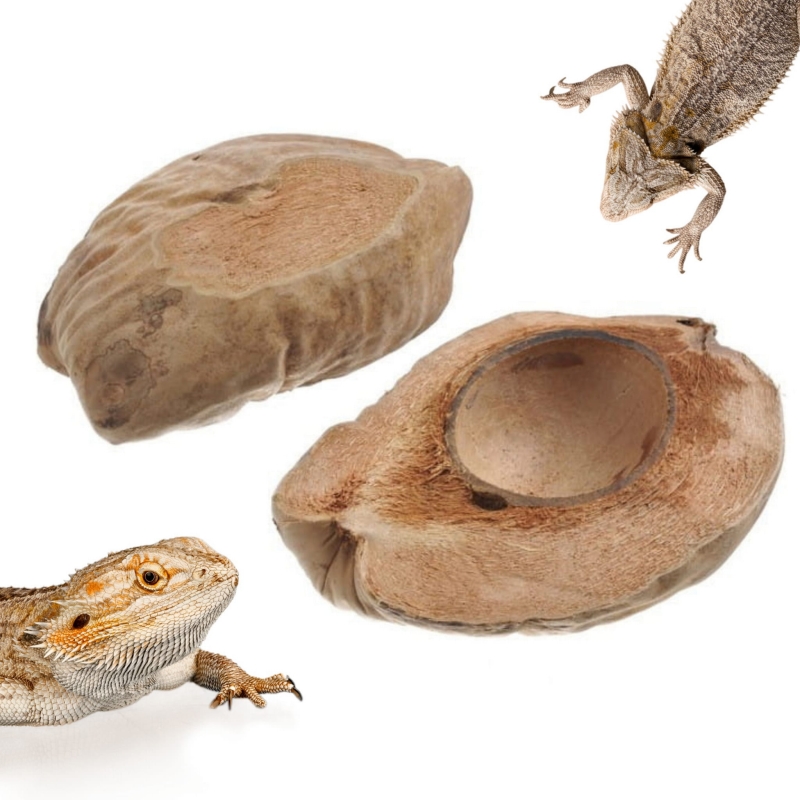 Miska-kokosowa-na-pokarm
