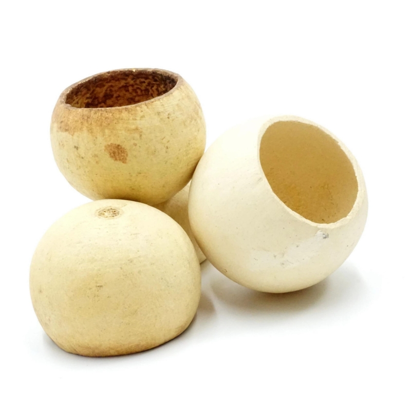 ozdoba-do-terrarium-makowka