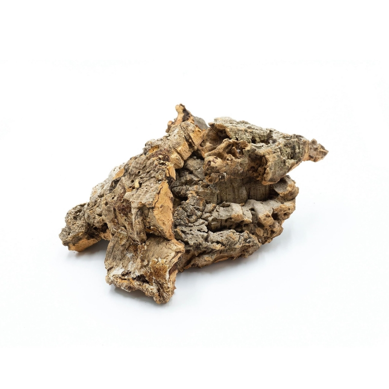 korek-do-terrarium-kora