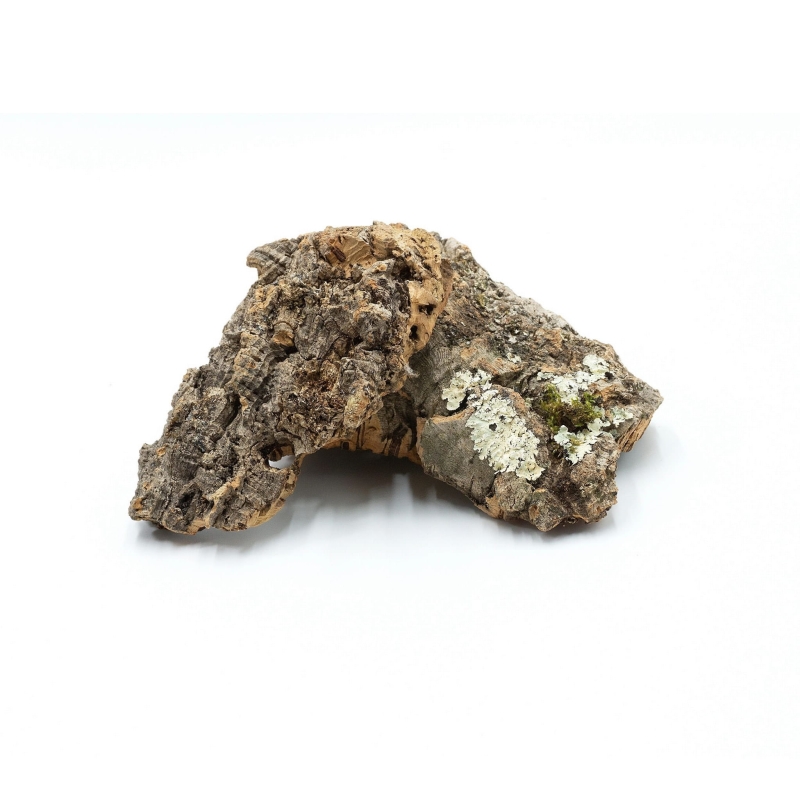 wystroj-do-terrarium