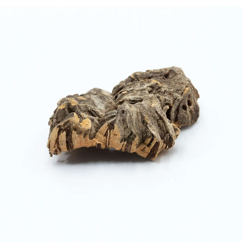 wystroj-terrarium-gekon